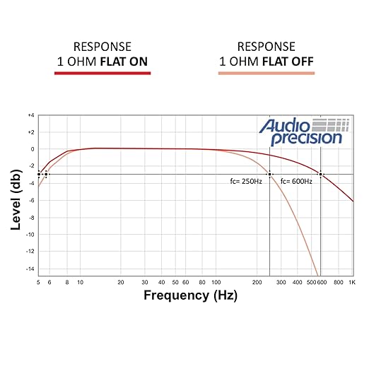 Stetsom BRAVO BASS 5K Digital Subwoofer Amplifier Mono 1 Channel Class D 5000 Watts RMS